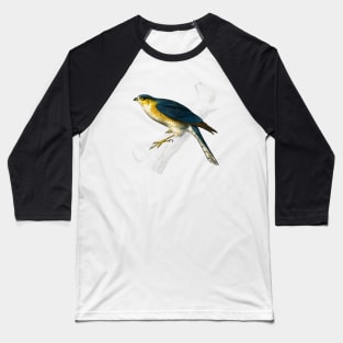 Vintage eurasian sparrowhawk bird-animalia clothing Baseball T-Shirt